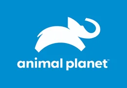 Animal Planet